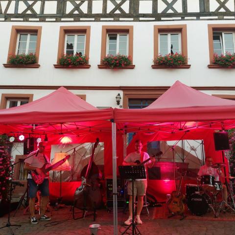 "pure" bei Altstadt rockt - Bild 1